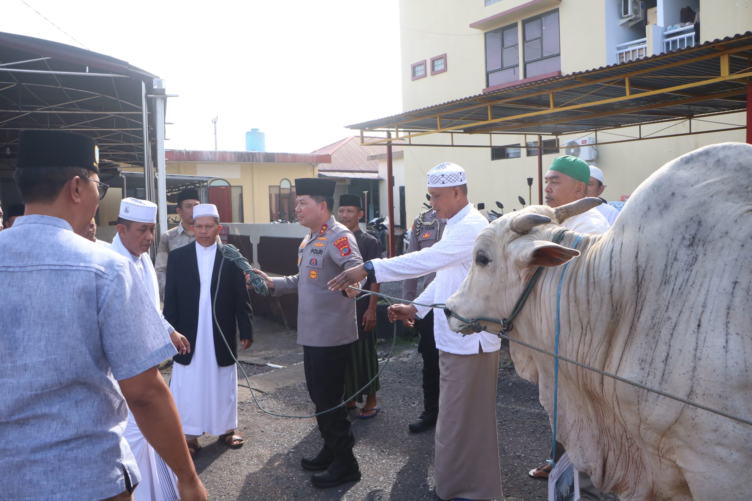Kapolda Sulut Serahkan Hewan Kurban ke Panitia Idul Adha 1446 H