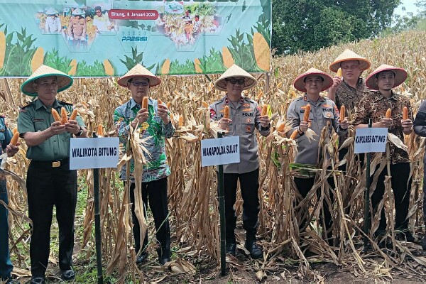 Wakapolda Sulut Pimpin Panen Raya Jagung Kuartal IV Tahun 2025 di Manembo-nembo Bitung