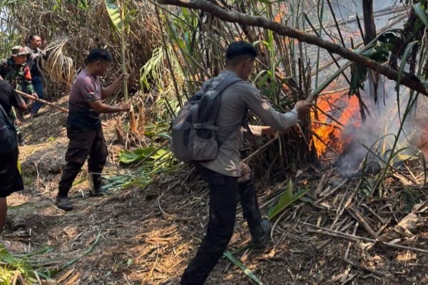 Polda Sulut Catat 370 Kejadian Karhutla, Ribuan Hektare Lahan Terdampak